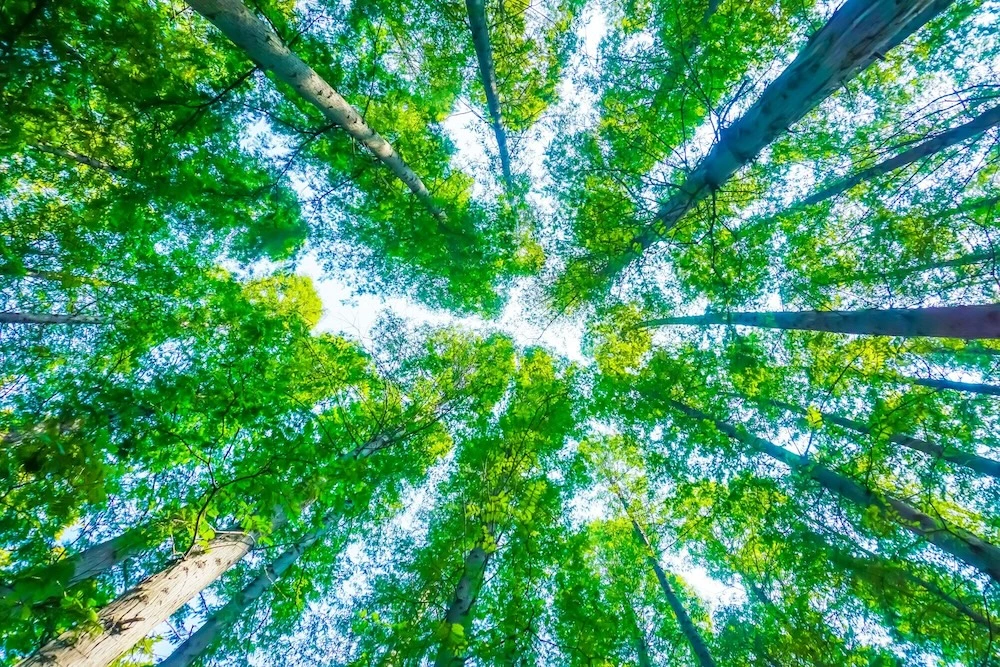 Nos valeurs : Protéger votre moteur et l’environnement​